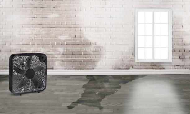 Best Water damage contractors near me  in Alhambra, CA